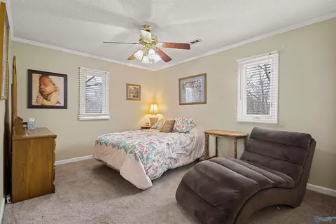 2590 County Road 316, Trinity, AL 35673 photo 33
