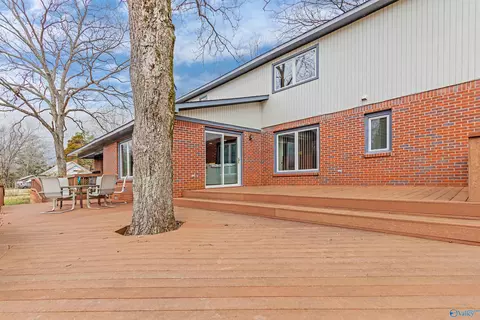 2590 County Road 316, Trinity, AL 35673 photo 5
