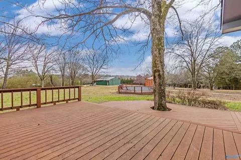 2590 County Road 316, Trinity, AL 35673 photo 6