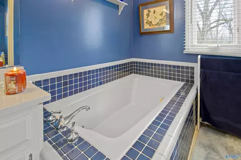 2590 County Road 316, Trinity, AL 35673 photo 28