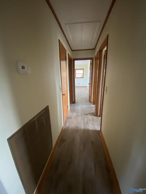 1674 County Road 43, Section, AL 35771 photo 6