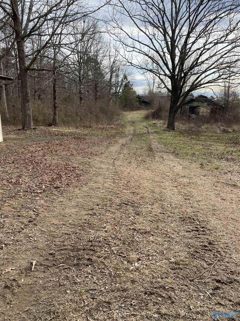 1674 County Road 43, Section, AL 35771 photo 23