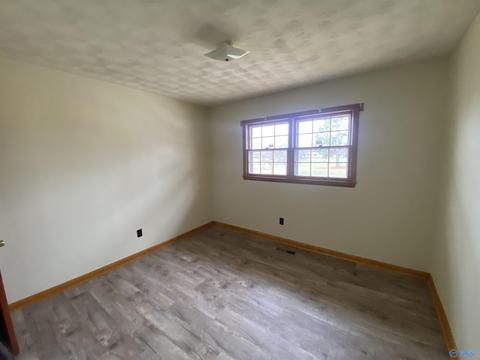 1674 County Road 43, Section, AL 35771 photo 11