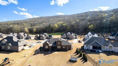 98 Mcmullen Ln, Gurley, AL 35748 photo 41