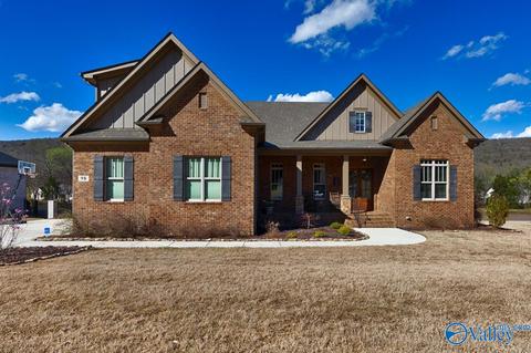98 Mcmullen Ln, Gurley, AL 35748 photo 1