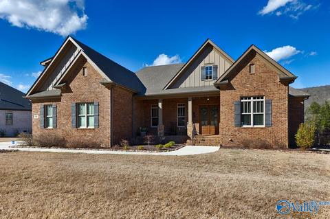 98 Mcmullen Ln, Gurley, AL 35748 photo 43