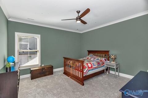 98 Mcmullen Ln, Gurley, AL 35748 photo 29