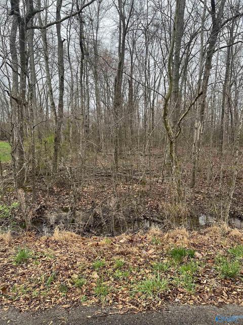 lot16 Jessica Dr, Toney, AL 35773