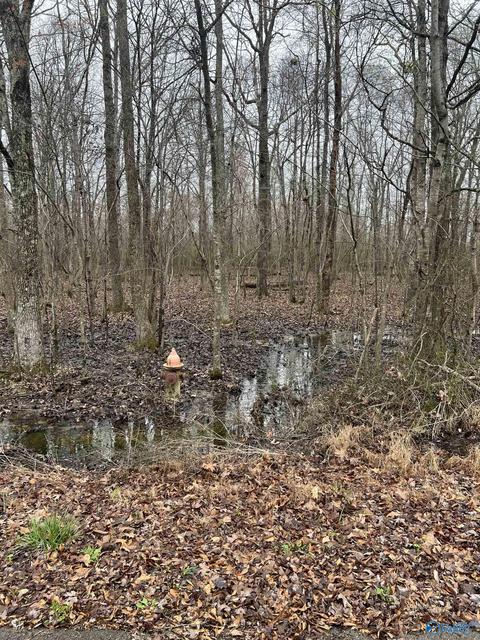 lot17 Jessica Dr, Toney, AL 35773