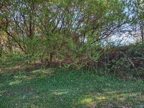 74 Lemons Rd, Grant, AL 35747 photo 1