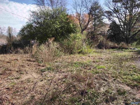 74 Lemons Rd, Grant, AL 35747 photo 3
