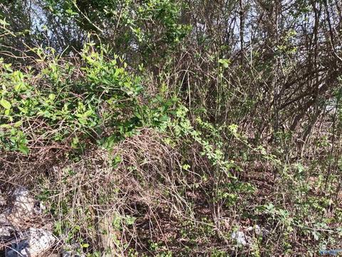 74 Lemons Rd, Grant, AL 35747 photo 2