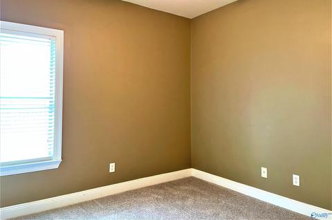 341 Allison Ct, Mobile, AL 36608 photo 28
