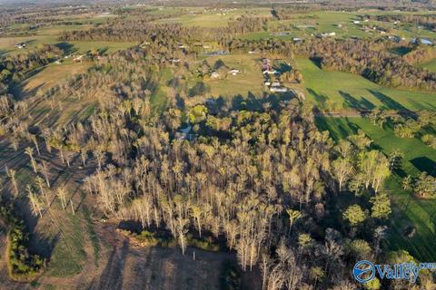 608 County Road 341, Section, AL 35771 photo 31