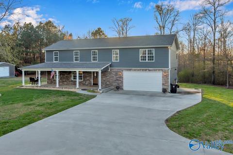 608 County Road 341, Section, AL 35771 photo 1