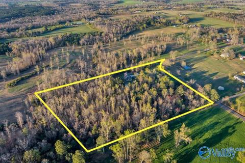 608 County Road 341, Section, AL 35771 photo 30