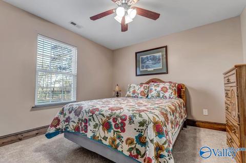 608 County Road 341, Section, AL 35771 photo 18