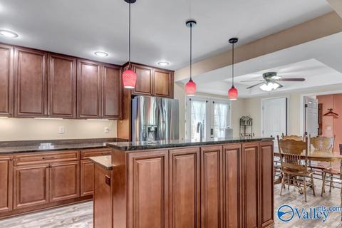608 County Road 341, Section, AL 35771 photo 5