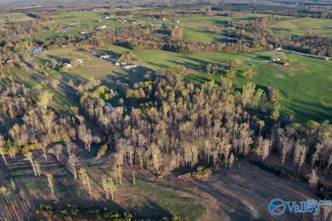 608 County Road 341, Section, AL 35771 photo 33