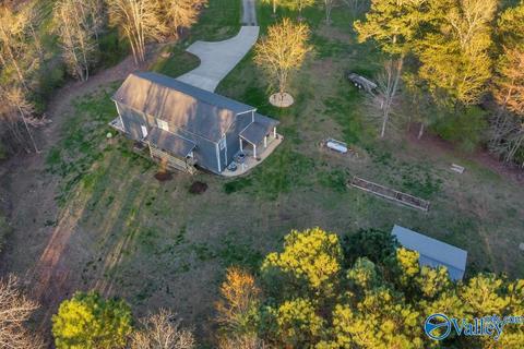 608 County Road 341, Section, AL 35771 photo 35