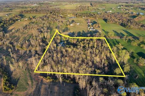 608 County Road 341, Section, AL 35771 photo 32