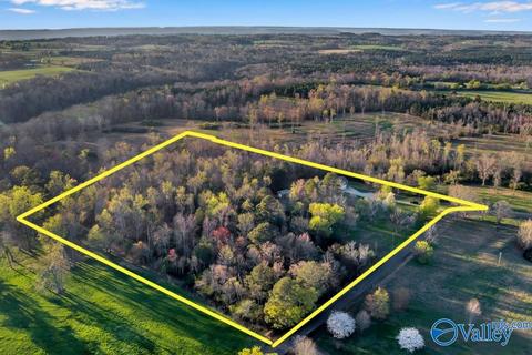 608 County Road 341, Section, AL 35771 photo 29