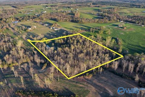 608 County Road 341, Section, AL 35771 photo 34