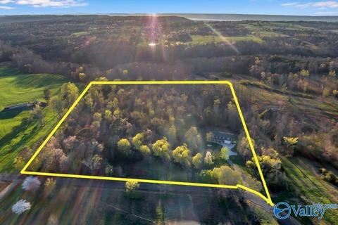 608 County Road 341, Section, AL 35771 photo 28