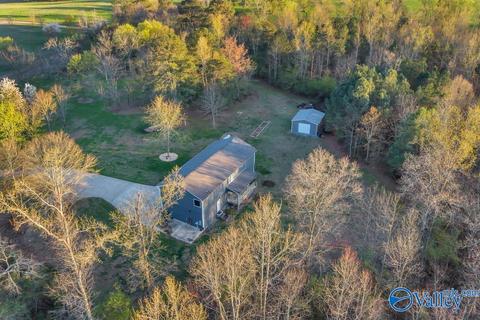 608 County Road 341, Section, AL 35771 photo 37