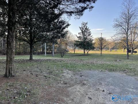 76 Monarch Dr, Arab, AL 35016 photo 9
