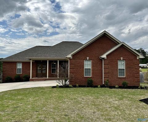 147 Oldenburg Dr, Killen, AL 35645 photo 36