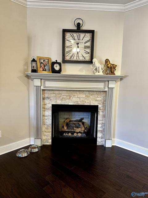 147 Oldenburg Dr, Killen, AL 35645 photo 10
