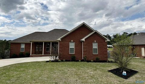 147 Oldenburg Dr, Killen, AL 35645 photo 2
