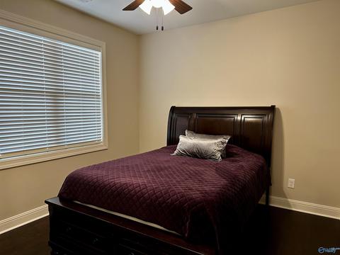 147 Oldenburg Dr, Killen, AL 35645 photo 24