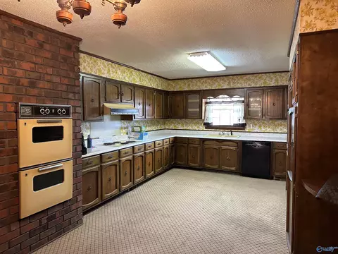 2550 Glendale Rd, Arab, AL 35016 photo 10