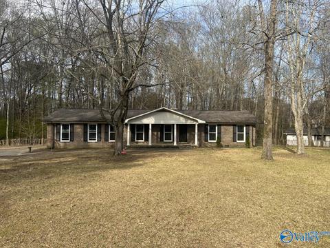 551 Golfview Dr, Arab, AL 35016 photo 1