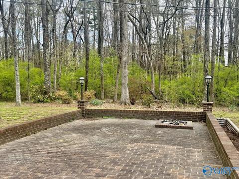 551 Golfview Dr, Arab, AL 35016 photo 15