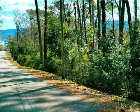 3 Richardson St, Guntersville, AL 35976