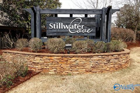 201 Maplebrook Dr, Madison, AL 35756 photo 49