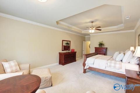 201 Maplebrook Dr, Madison, AL 35756 photo 21