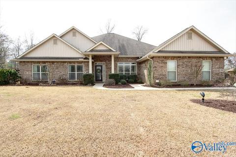 201 Maplebrook Dr, Madison, AL 35756 photo 1