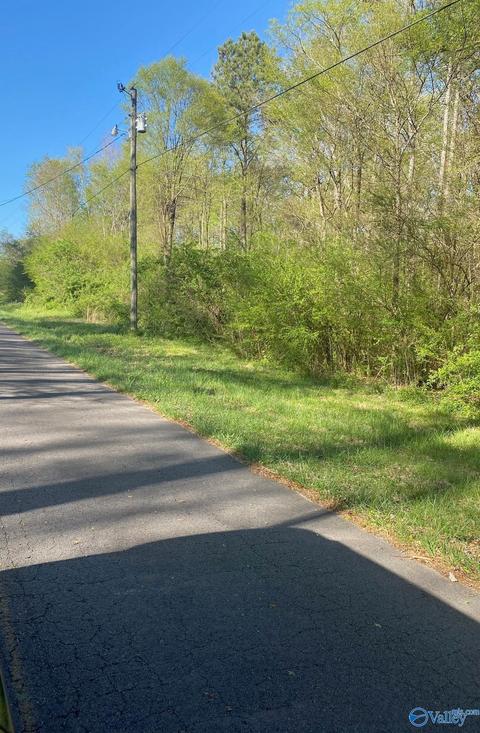 3 9 4th St, Arab, AL 35016 photo 3
