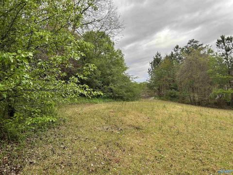 206 Pine Hill Dr, Centre, AL 35960 photo 38