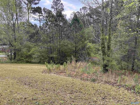 206 Pine Hill Dr, Centre, AL 35960 photo 37