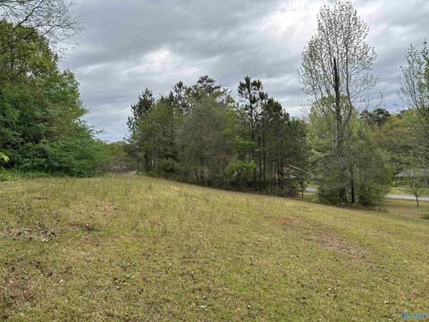 206 Pine Hill Dr, Centre, AL 35960 photo 40