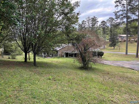 206 Pine Hill Dr, Centre, AL 35960 photo 39