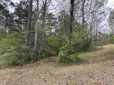 206 Pine Hill Dr, Centre, AL 35960 photo 29