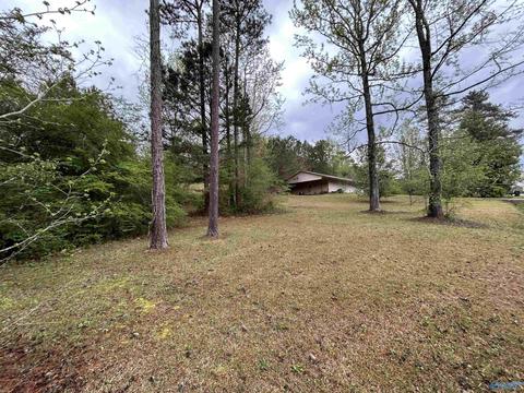 206 Pine Hill Dr, Centre, AL 35960 photo 35