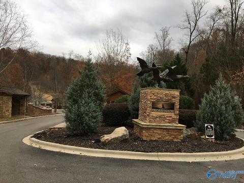 1283 Monte Sano Dr, Scottsboro, AL 35769