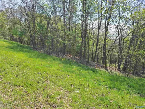 1283 Monte Sano Dr, Scottsboro, AL 35769